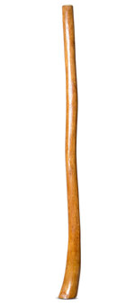 Gloss Finish Flared Didgeridoo (TW1262)